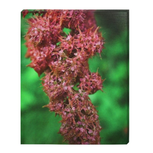 NEW Original Unframed Photo Canvas Art - Picture 1 of 6